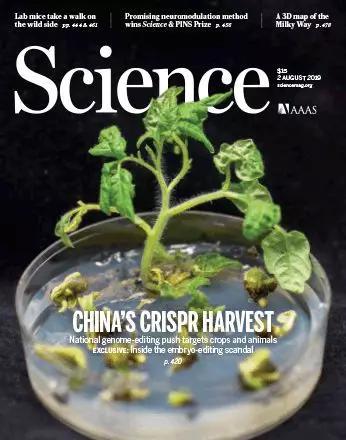 ▲本次特刊也得到了《科学》封面的介绍（图片来源：《科学》官网；Syngenta Beijing Innovation）
