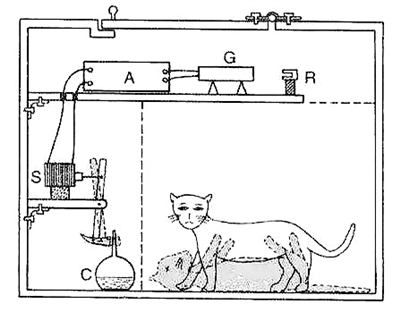 “薛定谔的猫”实验示意图。猫到底是死是活必须在盒子打开后，外部观测者观测时，物质以粒子形式表现后才能确定，因此猫也处于被杀死和还活着两种状态的叠加态。
