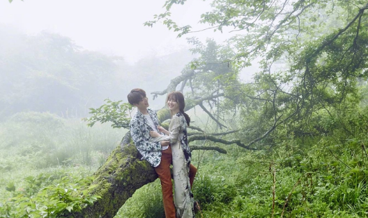 /images/20190818/a952cec9d149d805c1841be0b834bd04.png image.png