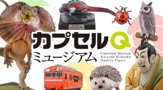 CapsuleQ Museum&nbsp; &nbsp; &nbsp;