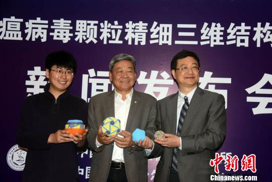 饶子和（中）、王祥喜（左）、步志高在发布会上展示非洲猪瘟病毒研究相关模型。　孙自法 摄