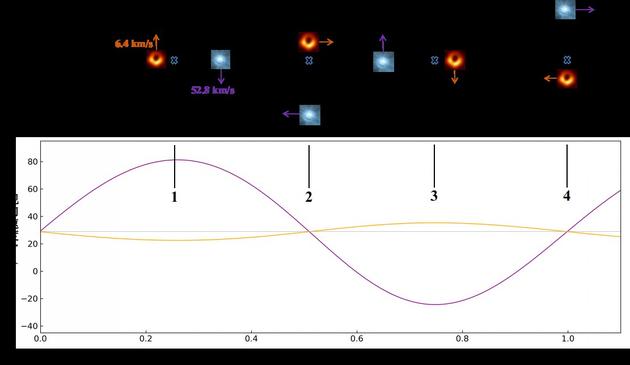 图二 LB-1系统中B型星和黑洞的运动规律和速度曲线