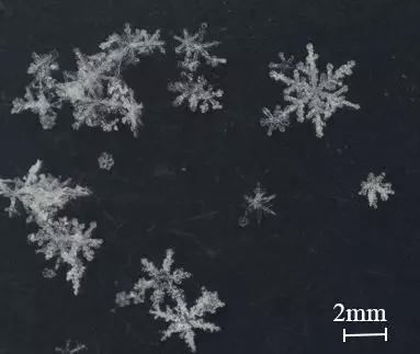 绚丽多彩的雪花&nbsp;