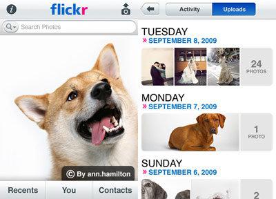  ▲  图片来自：Business Insider