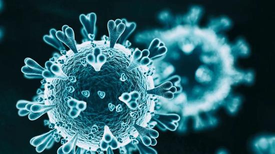 2019新型冠状病毒 (图源:scientists)