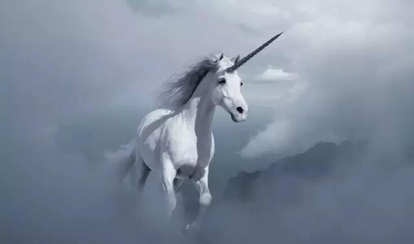 /images/20201129/754e76a69a29860640cc486367839416.jpg mp61407676_1456896809406_2.jpg