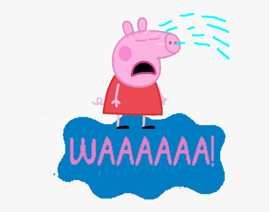 da0d-kiweitw0102240.png