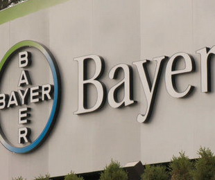 /images/20210227/8f9d144a182798224d5c8e28e654f44b.jpg 28_251923823_20140228143534.jpg