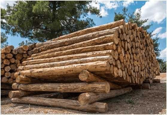 /images/20210322/20211c6617e571f3817d25f89df5d710.jpg src=http___p2.ssl.cdn.btime.com_t017d8d5f0001bb807b.jpg_size=558x385&refer=http___p2.ssl.cdn.btime.jpg