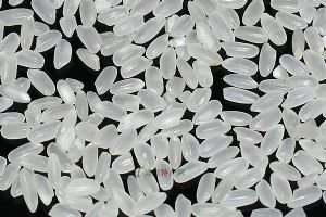 /images/20211019/0489ec571db00b8f5069424ef9ead00f.jpg t01b5ece3bc2de67286.jpg