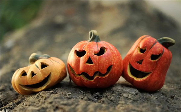 /images/20211101/a66fd91fcc3c7ced3091b04c2561c296.png 微信图片_20211101093525.png