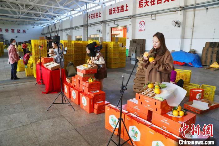 c33f8a21-f8b4-4efc-b0d2-7bea51513e46_zsite.jpg
