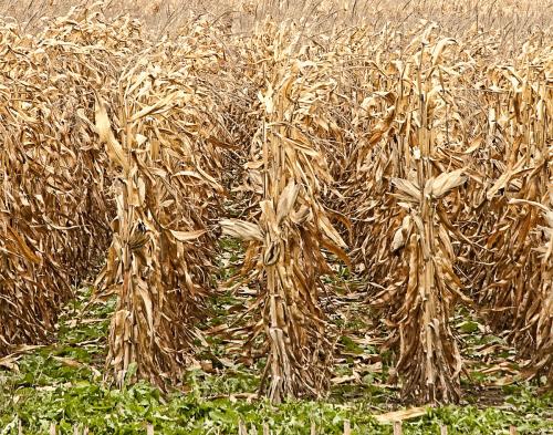 /images/20211201/f437071d167f1ff94b63bd49975a796c.jpg 42-1P201093316332.jpg