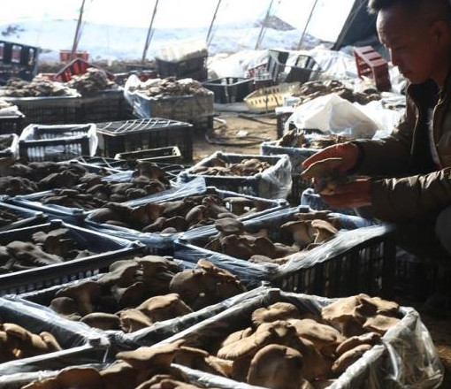 微信截图_20220213170657.png
