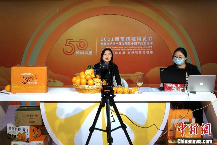 26d3c7ff-2bce-43f4-9b60-d205e2f32092_zsite.jpg