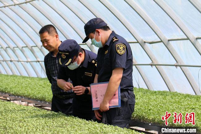 84b006fc-f809-4f89-8276-c66a17bcd232_zsite.jpg
