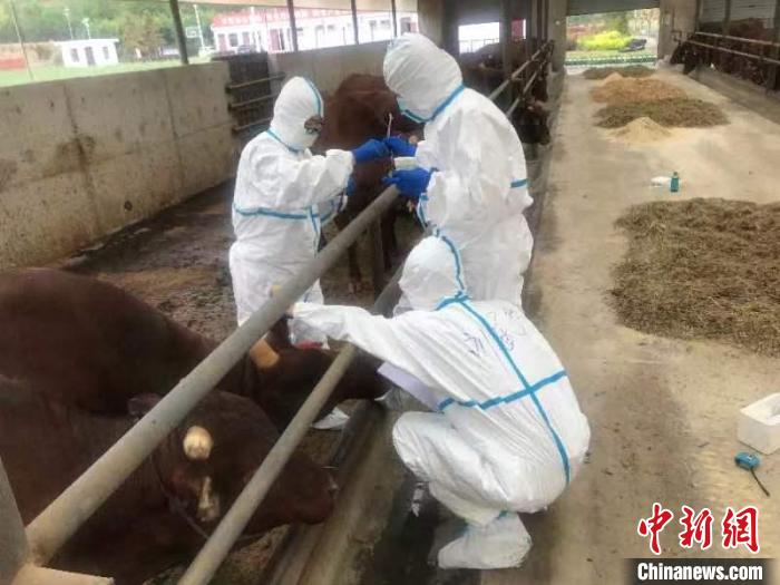 /images/20220601/3273b3e4b9eaa332d1acc3fc0357b9ad.jpg b7519ace-fe41-417b-82da-11a0214c488a_zsite.jpg