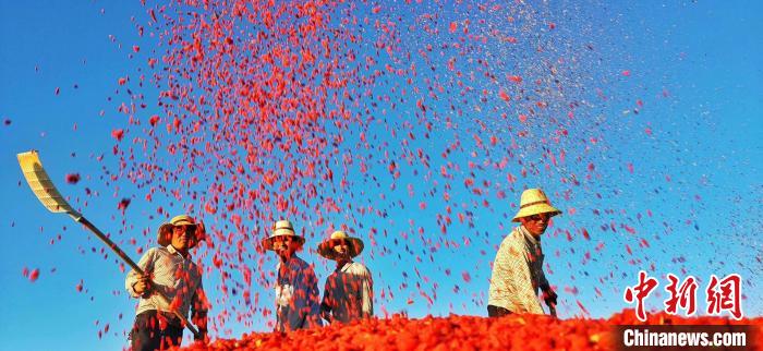 /images/20220713/042bbf8c57a48e5c38eed06d42ec3015.jpg b92742b1-2c43-44d4-8e83-6cc2bfd0381f_zsite.jpg