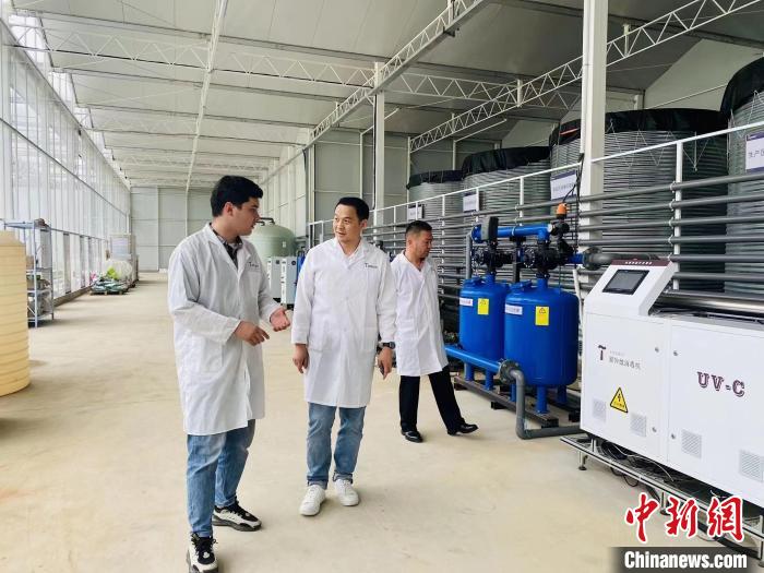 35020a45-f528-4ad3-9c8a-47ec019e8f0a_zsite (1).jpg