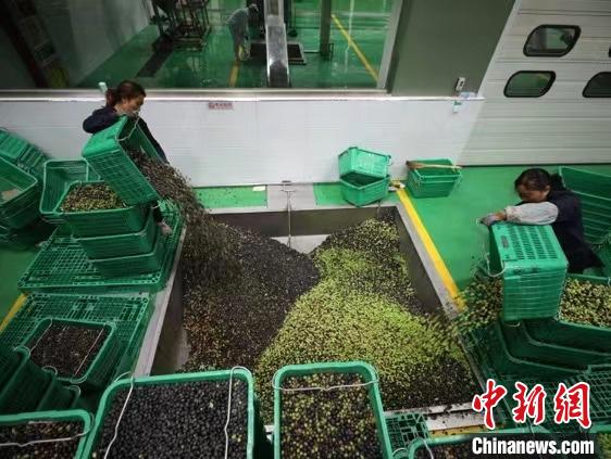 18eddd12-160b-4d72-8e7c-2adfa5271bdd_zsite (1).jpg