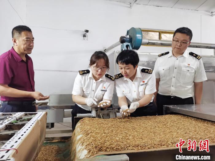 d226ea3e-b78d-4dc5-b0aa-4df7e71e9581_zsite (1).jpg