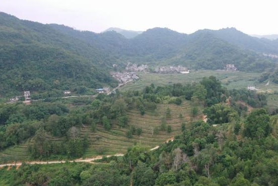 /images/20231017/14822e16a260ac6080e8e5b76b366228.png 微信截图_20231017175759.png