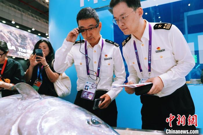 aef688ac-0e26-4b60-a118-a1edf0b0c7c1_zsite (1).jpg