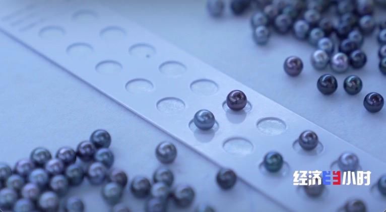 /images/20231111/3860b10409ac38421103947d9110a915.jpg 2021749370236089776.jpg