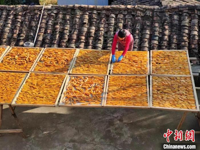 /images/20231213/4f99ce57d8af616a6da513cf3898d584.jpg 7dc3dbb1-445e-4212-9a9e-0122944c4c42_zsite.jpg