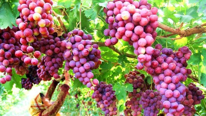 /images/20231217/91c0c164a367848b2599cd9fd0e2837e.png 微信截图_20231217175249.png