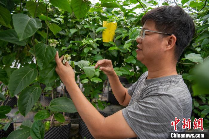 /images/20231217/a8a08e5f17ce1420454c3d451cba0796.jpg 49af17c6-0e78-4384-9bfb-58e1ee97ef39_zsite.jpg