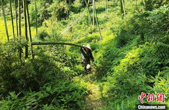 /images/20231229/f9ccc04f5b4e32e0e6fa83716a724dac.jpeg 9c7e3751-79a3-4b1c-9536-43108e5a1f02_zsite.jpeg