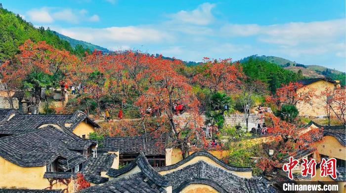 /images/20240102/2f4a77780844803e2aa6354e6cd2f1a3.jpg fd9cee67-4941-41fc-bd2d-55c75e942656_zsite.jpg