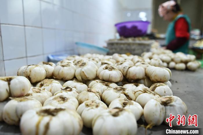 /images/20240124/ce78472921e56bcc2033463152d94c0f.jpg 3de85e00-4978-40c8-95db-95007cfd8e35_zsite.jpg