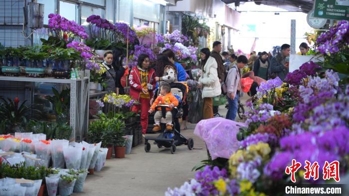 /images/20240205/928e664099b02118d295626aff4b0ea0.jpg 96515154-2d64-43cb-be31-57c258c6a626_zsite.jpg