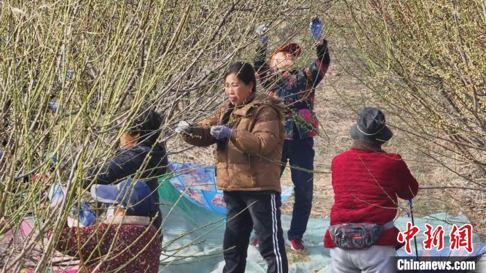 /images/20240418/99fecf081391aca5f4809d66ac7186c1.jpg 8ec45d3a-14aa-4fc0-9416-cb2f07000cac_zsite.jpg