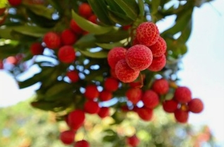 /images/20240513/08a19a2b4dd65ed517e0c6621e158e19.png 微信截图_20240513233953.png