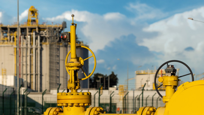 /images/20250920/28c67bf7a1bad0ae184b9d2bdee21bc8.jpeg l_cb20230831145727303029.jpeg