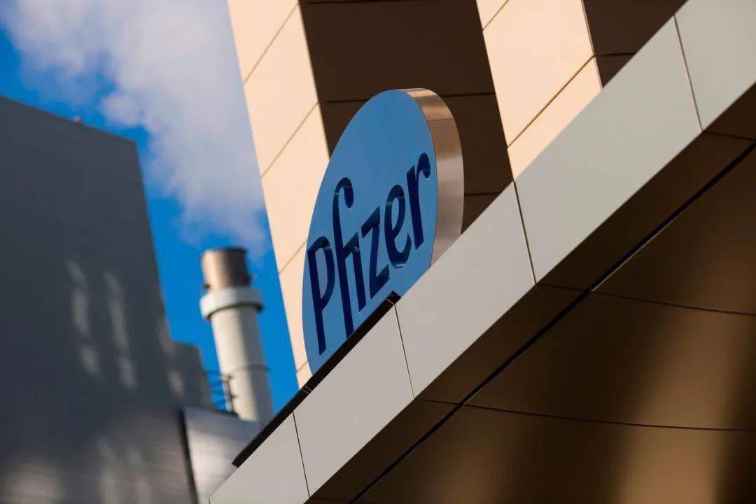 /images/20251106/bc6a34c3636d77320561a1518ed0d518.jpeg /images/20251106/bc6a34c3636d77320561a1518ed0d518.jpeg