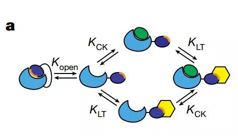 ▲LOCKR系统的简单图示（图片来源：参考资料[1]）