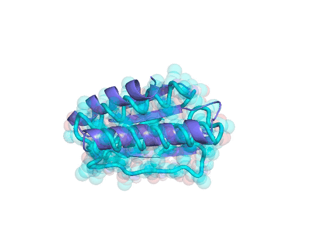 在虚拟空间计算得到的蛋白质的三维结构