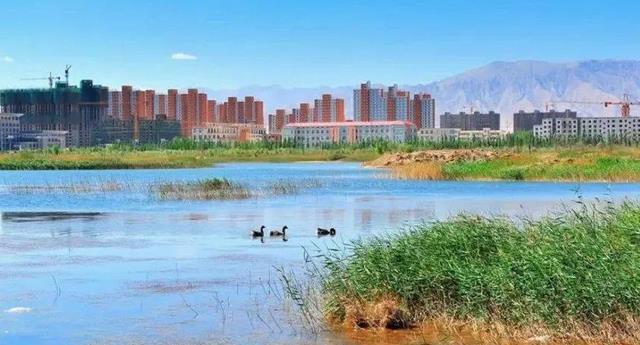 下载.jpg