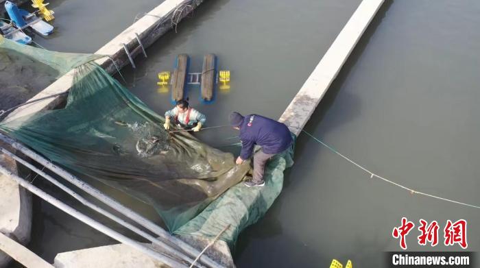 185b0fb6-6941-4ac9-9fc0-e8d9c9d225ea_zsite (1).jpg