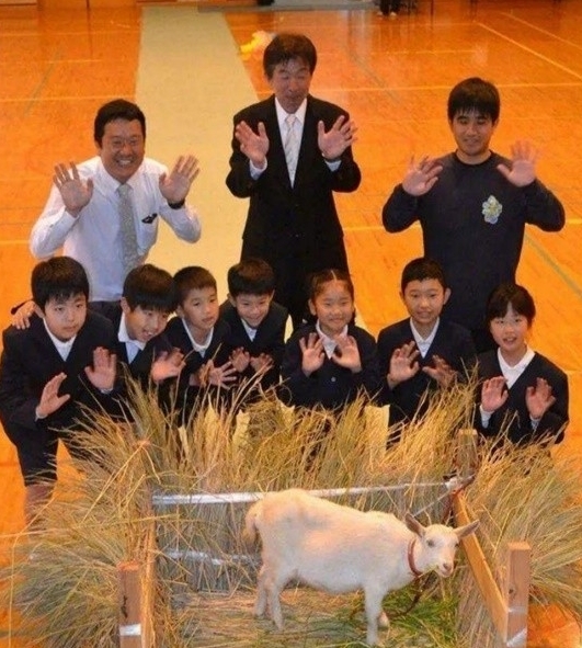 微信截图_20240503204347.png